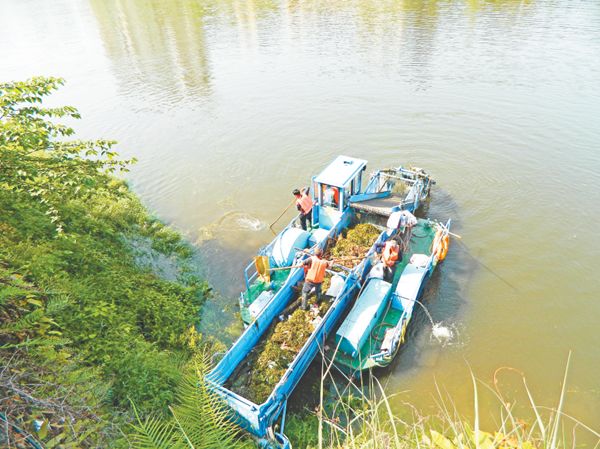 守护濑溪河碧水清波 荣昌水污染防治纪实