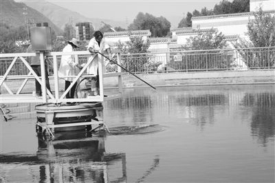 守护三江源，碧水润高原——青海省持续深化水污染综合治理纪实