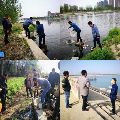 湖北襄阳谷城 审计关注汉江流域水污染防治，助推水清岸绿
